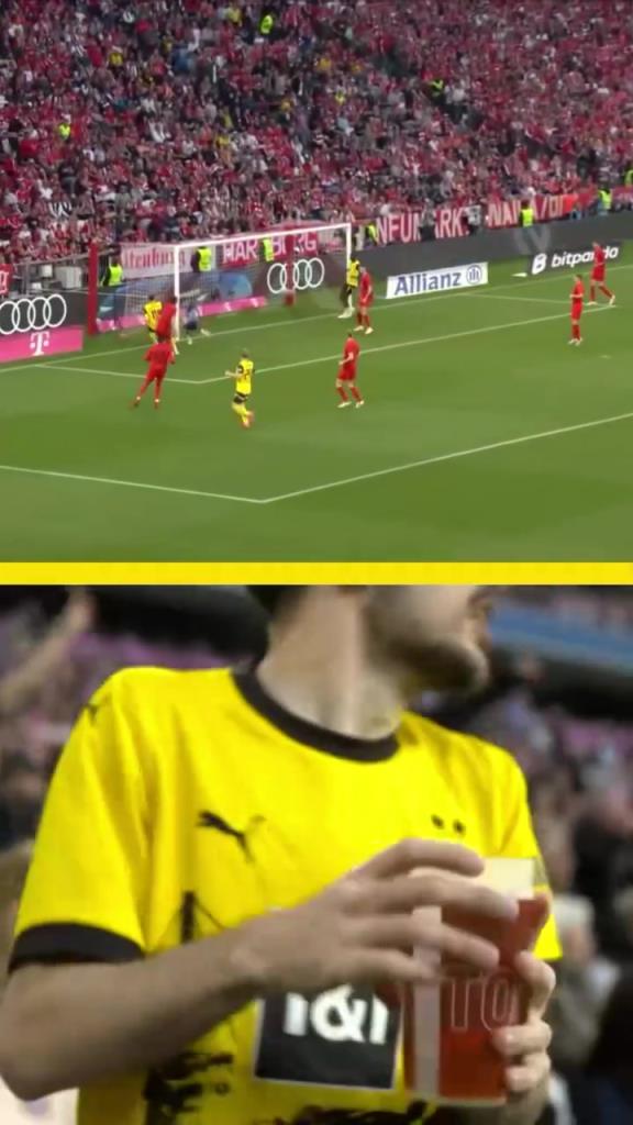 勇者無(wú)懼！這是真多特球迷！在拜仁球迷區(qū)一個(gè)人肆意慶祝！